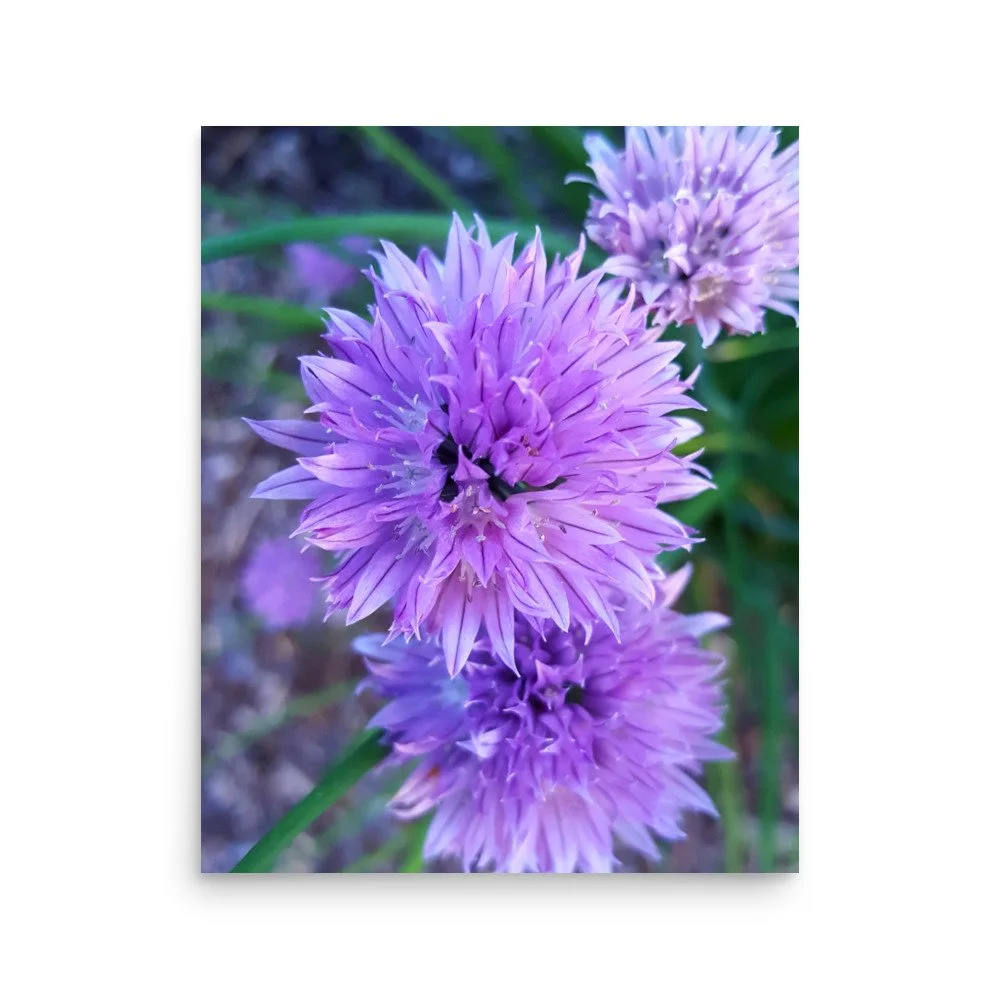 premium-luster-photo-paper-poster-(in)-16x20-front-6a023484db715.jpg