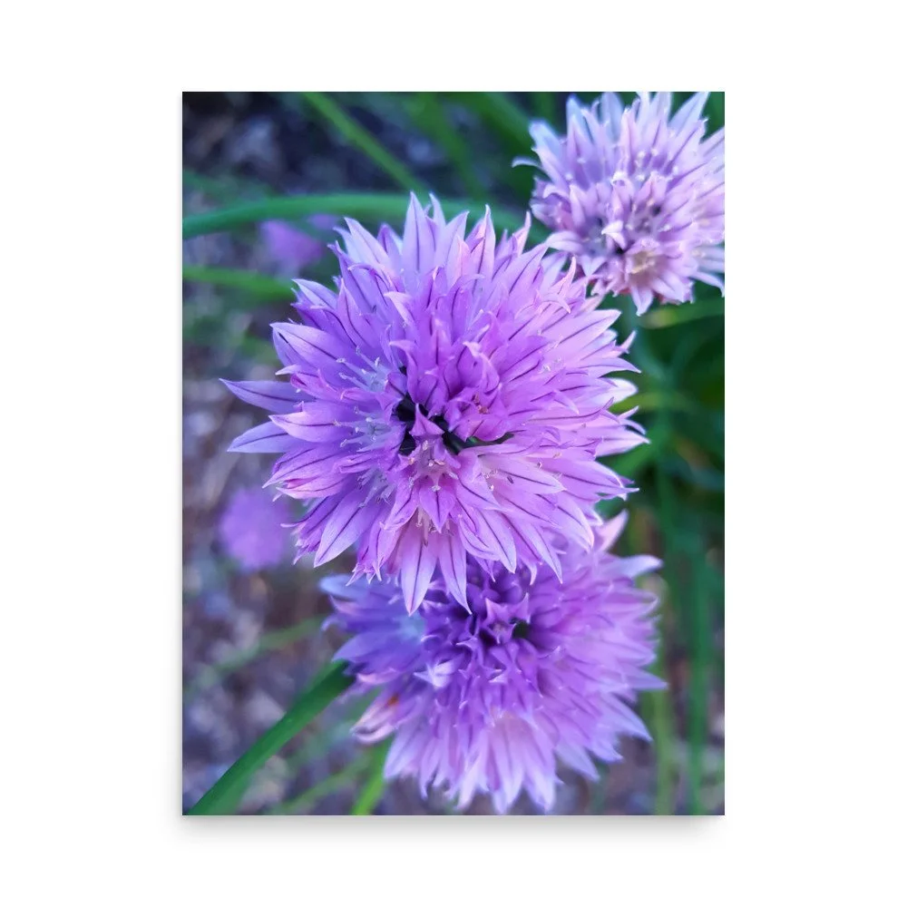 premium-luster-photo-paper-poster-(in)-18x24-front-6a023484dc085.jpg