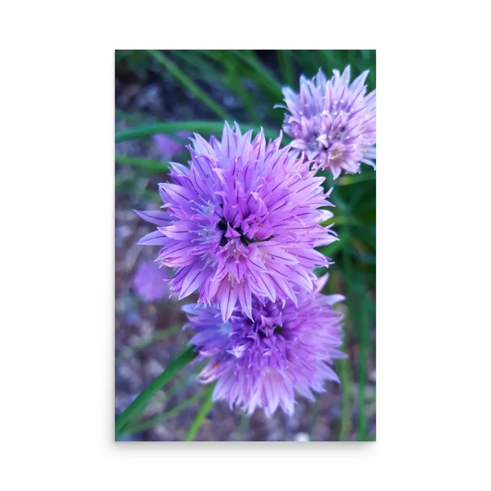 premium-luster-photo-paper-poster-(in)-24x36-front-6a023484dc54a.jpg
