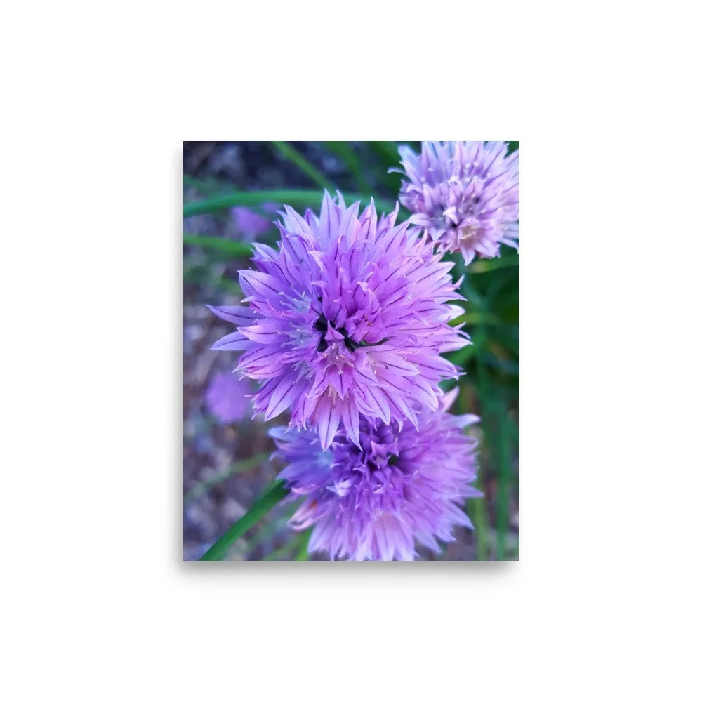 premium-luster-photo-paper-poster-(in)-8x10-front-6a023484d8c86.jpg
