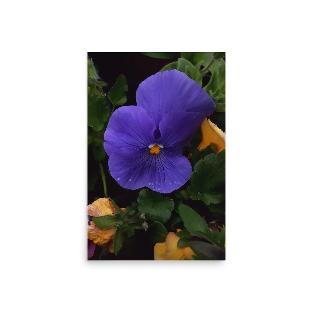 premium-luster-photo-paper-poster-(in)-20x30-front-6a02357d724ba.jpg