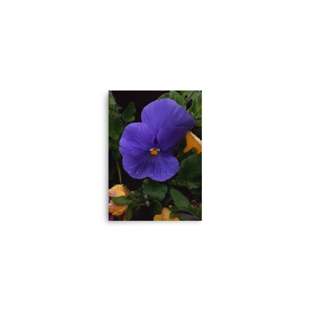 premium-luster-photo-paper-poster-(in)-5x7-front-6a02357d71f51.jpg