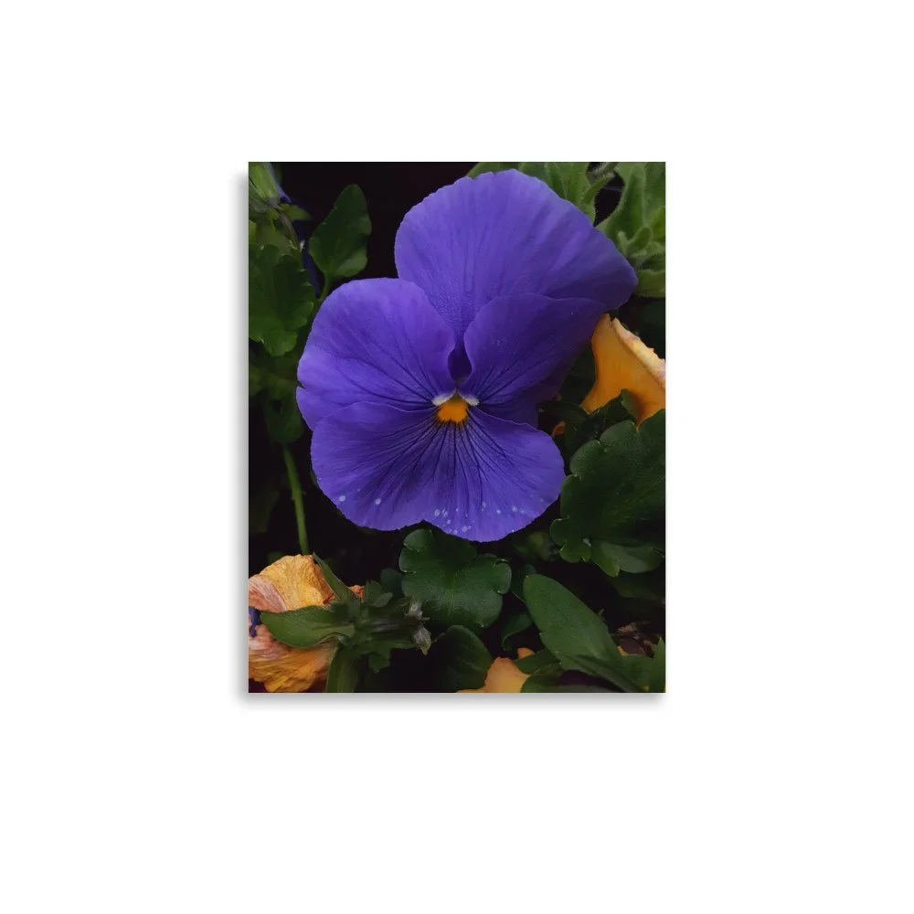premium-luster-photo-paper-poster-(in)-11x14-front-6a02357d71a55.jpg