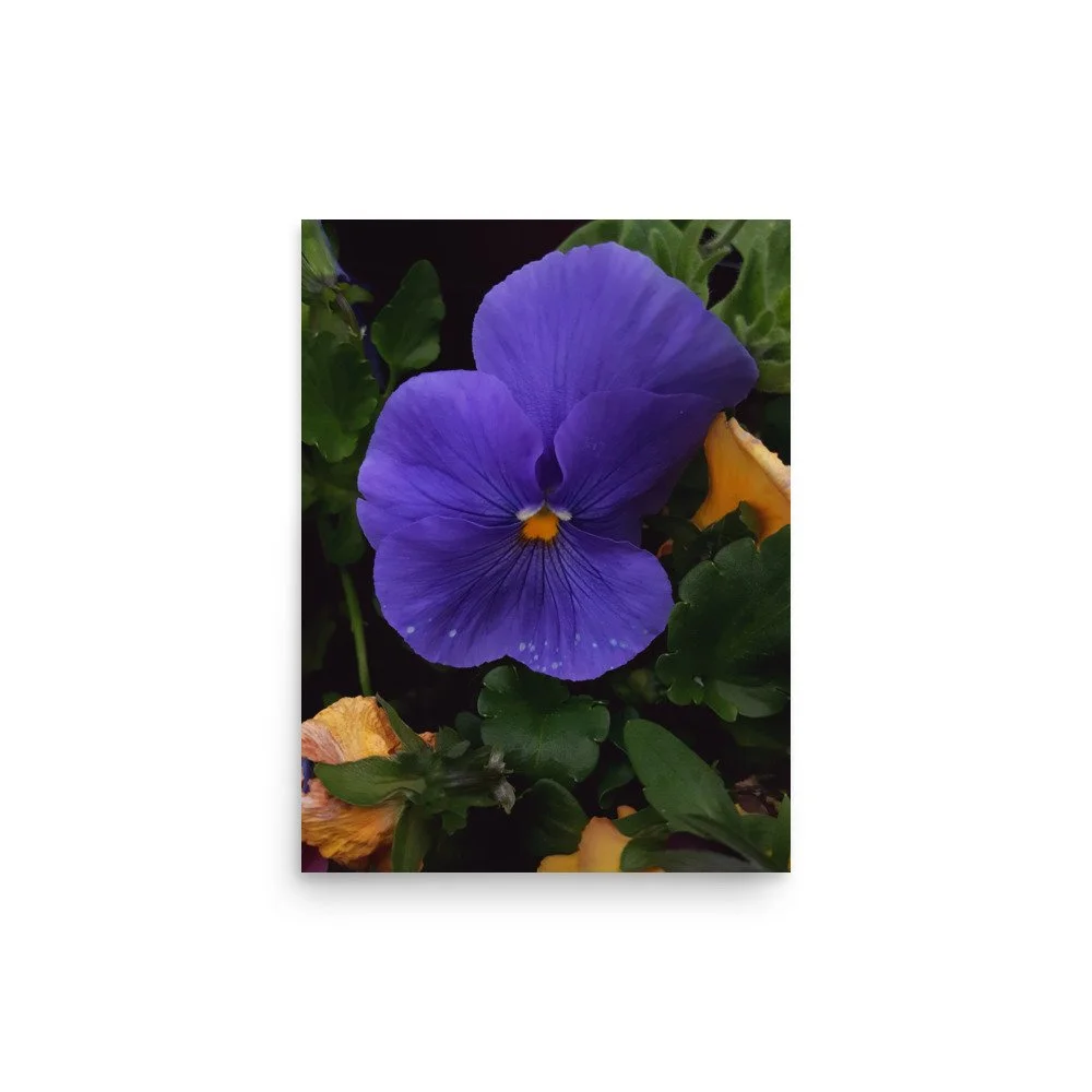 premium-luster-photo-paper-poster-(in)-12x16-front-6a02357d6ee22.jpg