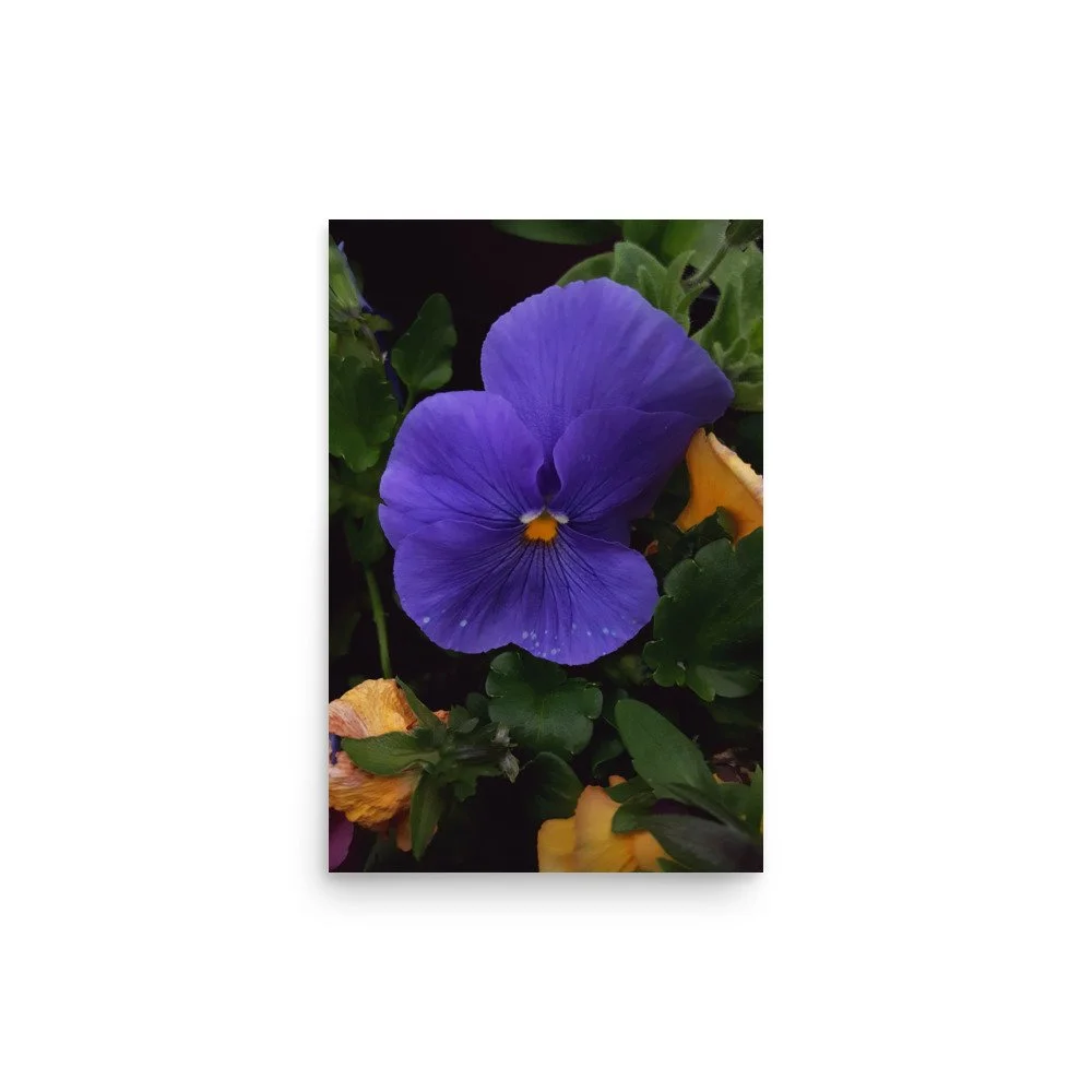 premium-luster-photo-paper-poster-(in)-12x18-front-6a02357d6f3c0.jpg