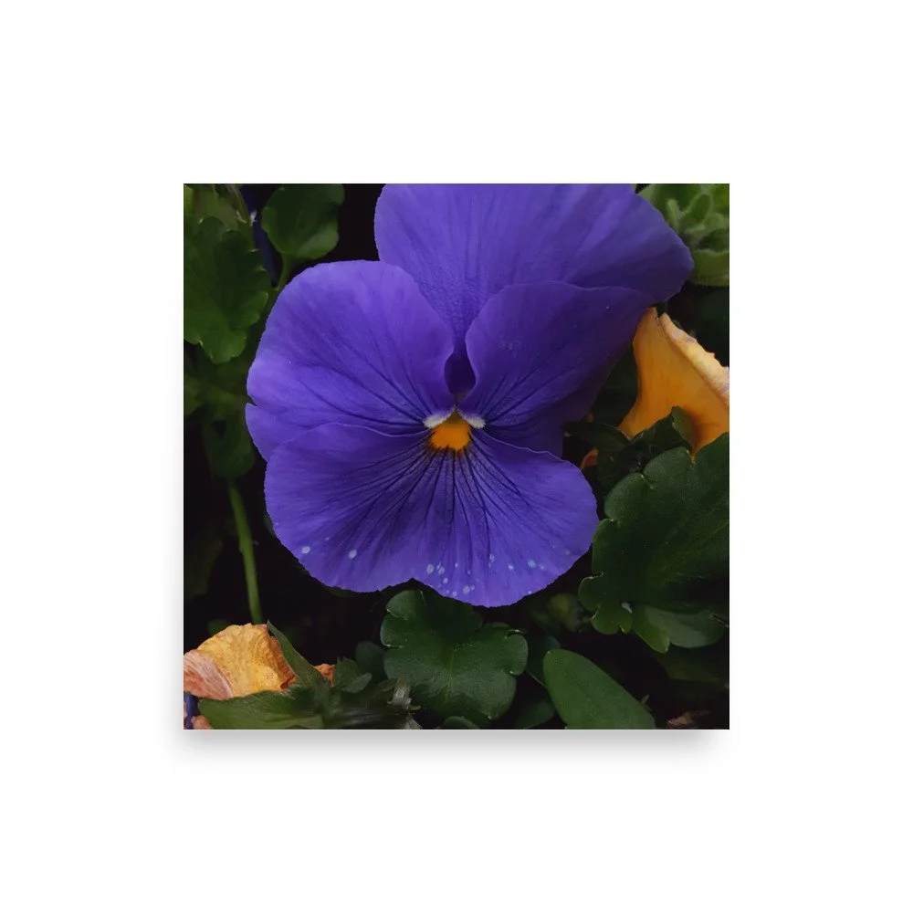 premium-luster-photo-paper-poster-(in)-16x16-front-6a02357d6ff48.jpg