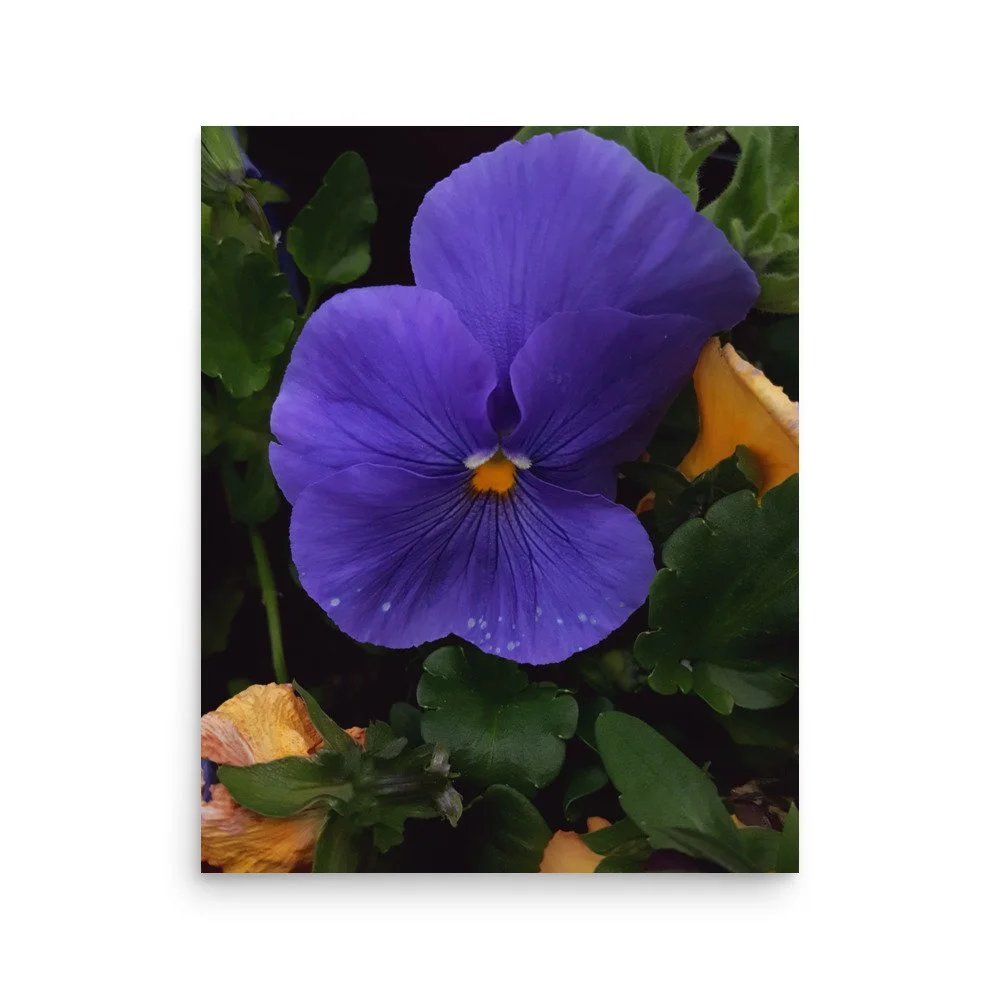 premium-luster-photo-paper-poster-(in)-16x20-front-6a02357d70538.jpg