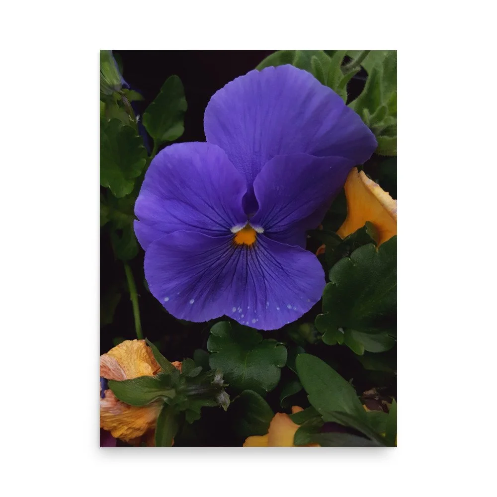premium-luster-photo-paper-poster-(in)-18x24-front-6a02357d7103d.jpg
