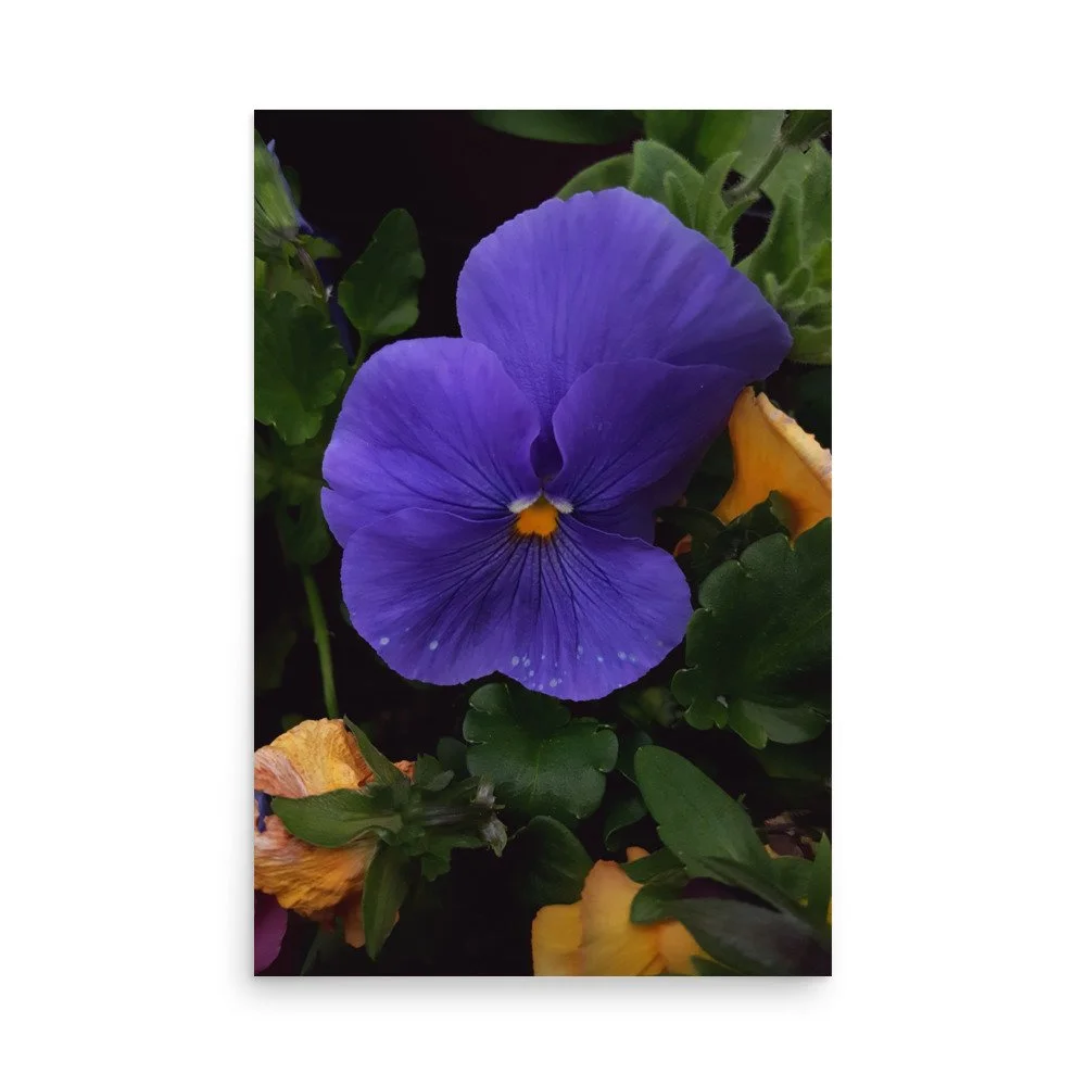 premium-luster-photo-paper-poster-(in)-24x36-front-6a02357d7159f.jpg