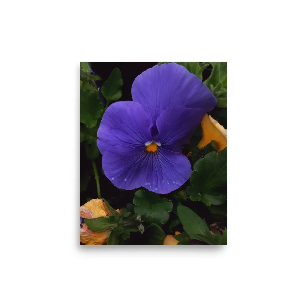 premium-luster-photo-paper-poster-(in)-8x10-front-6a02357d6d5ca.jpg