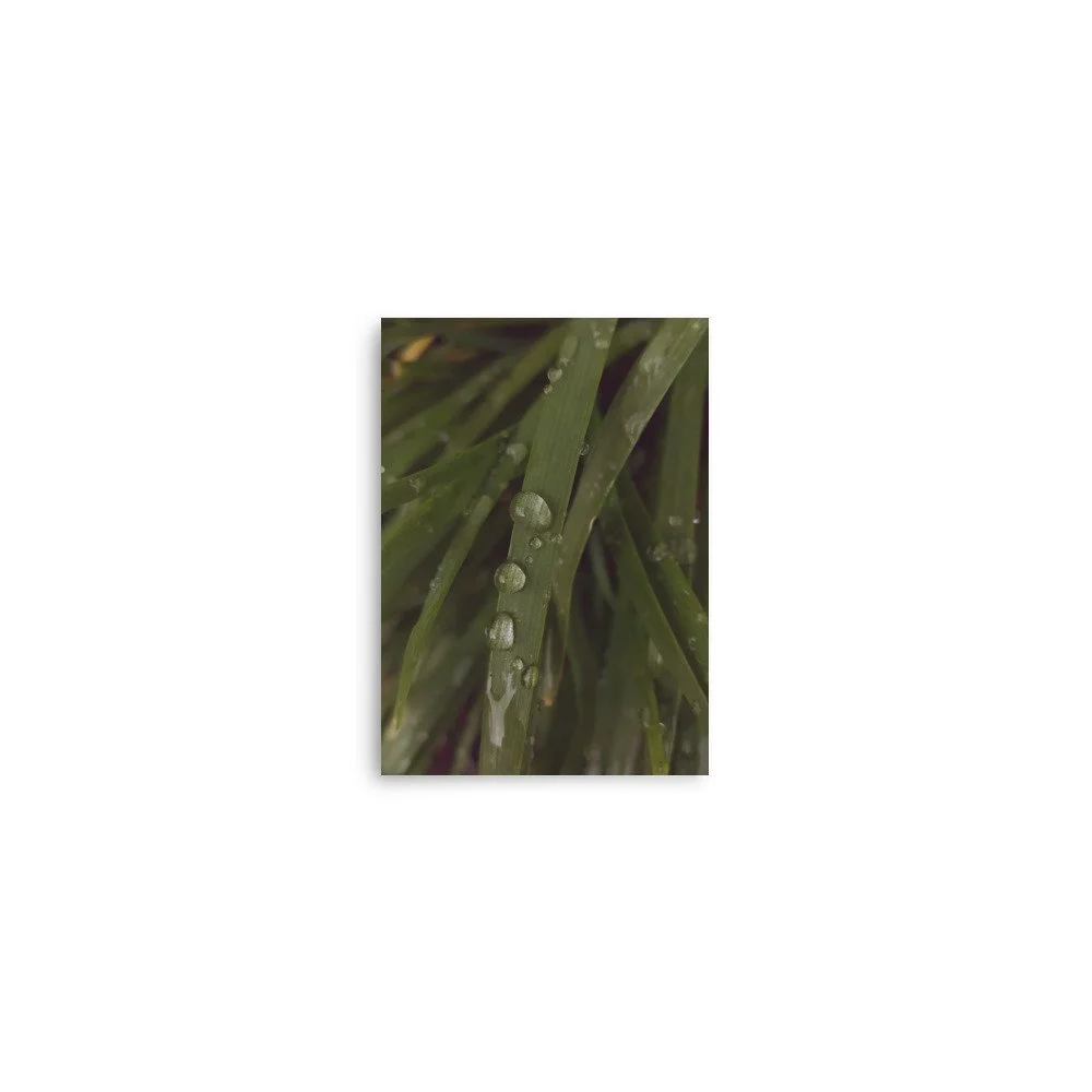 premium-luster-photo-paper-poster-(in)-5x7-front-6a0238d932746.jpg