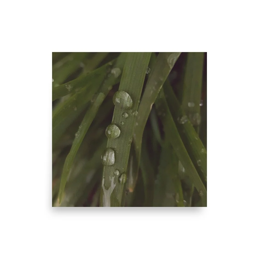 premium-luster-photo-paper-poster-(in)-12x12-front-6a0238d92b03e.jpg