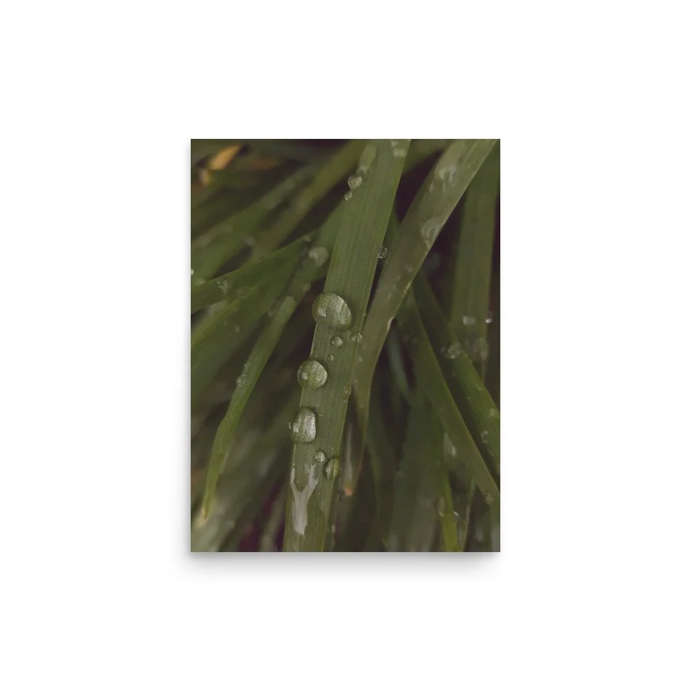 premium-luster-photo-paper-poster-(in)-12x16-front-6a0238d92bbbe.jpg