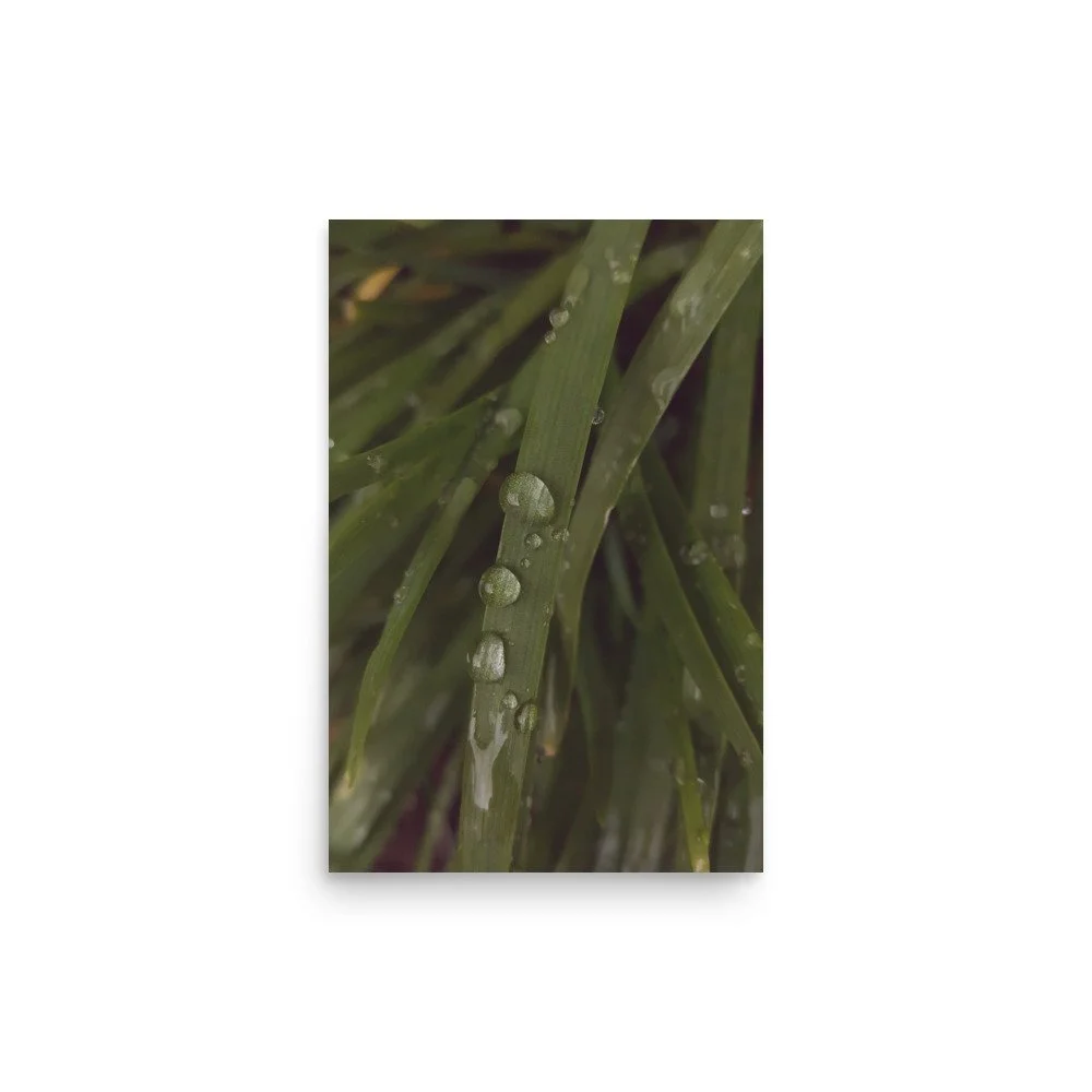 premium-luster-photo-paper-poster-(in)-12x18-front-6a0238d92c7dd.jpg