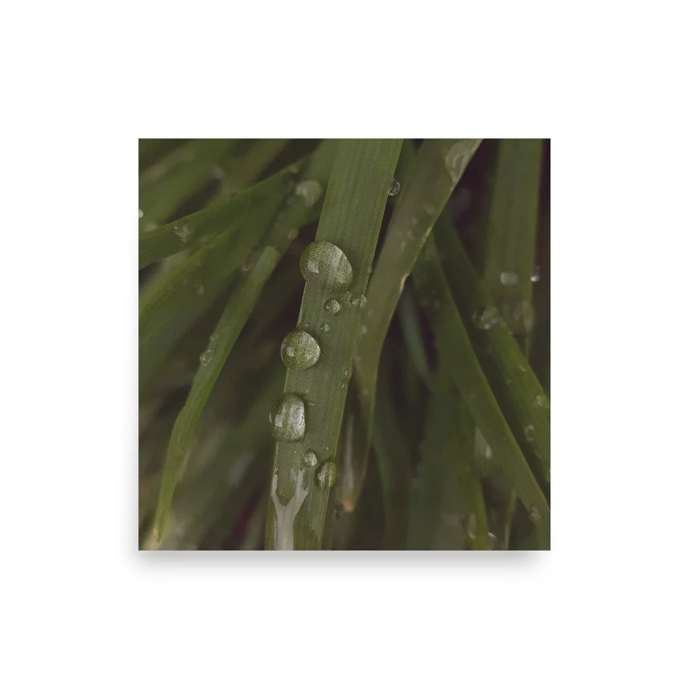 premium-luster-photo-paper-poster-(in)-16x16-front-6a0238d92e377.jpg