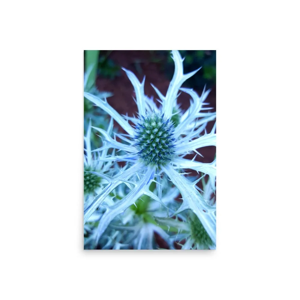 premium-luster-photo-paper-poster-(in)-20x30-front-6a0249046f87c.jpg