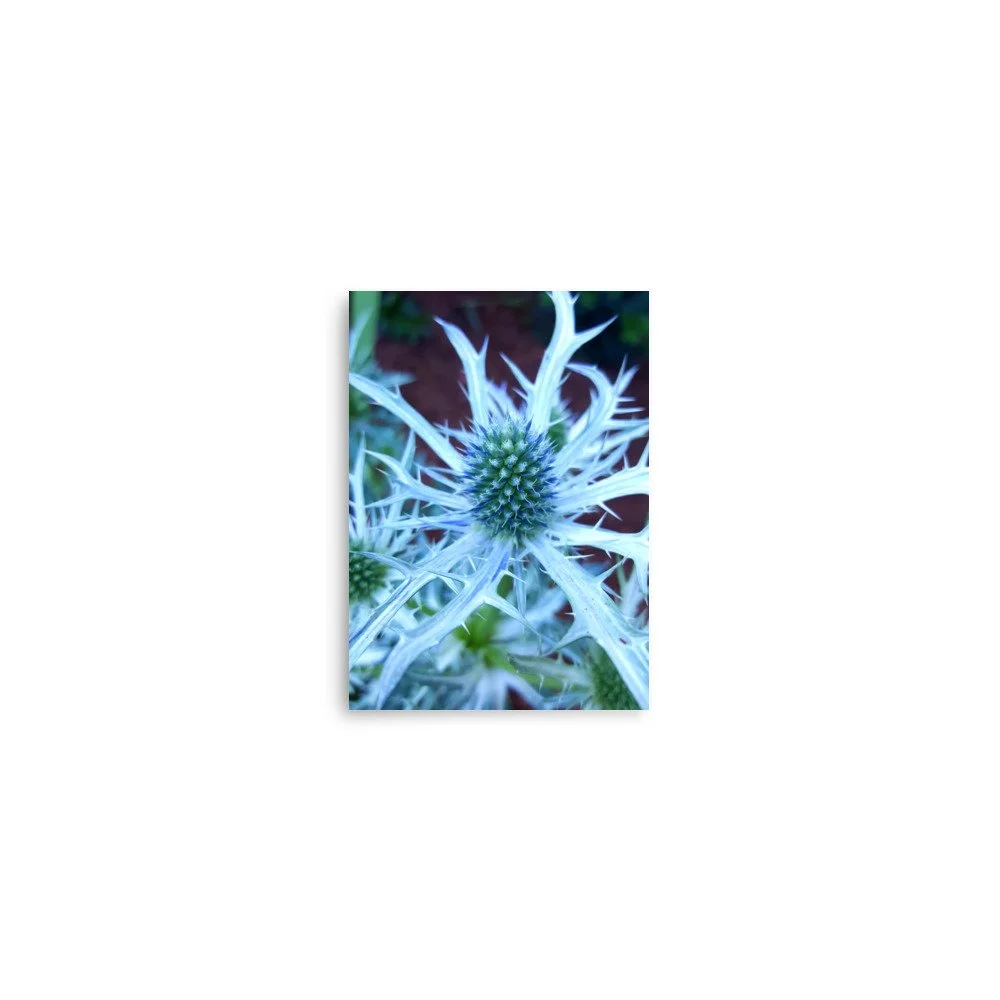 premium-luster-photo-paper-poster-(in)-5x7-front-6a0249046f460.jpg