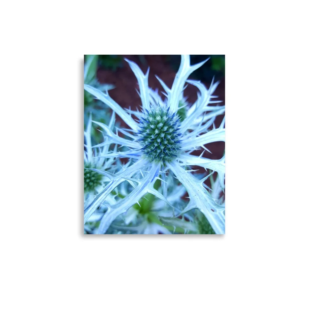 premium-luster-photo-paper-poster-(in)-11x14-front-6a0249046effd.jpg