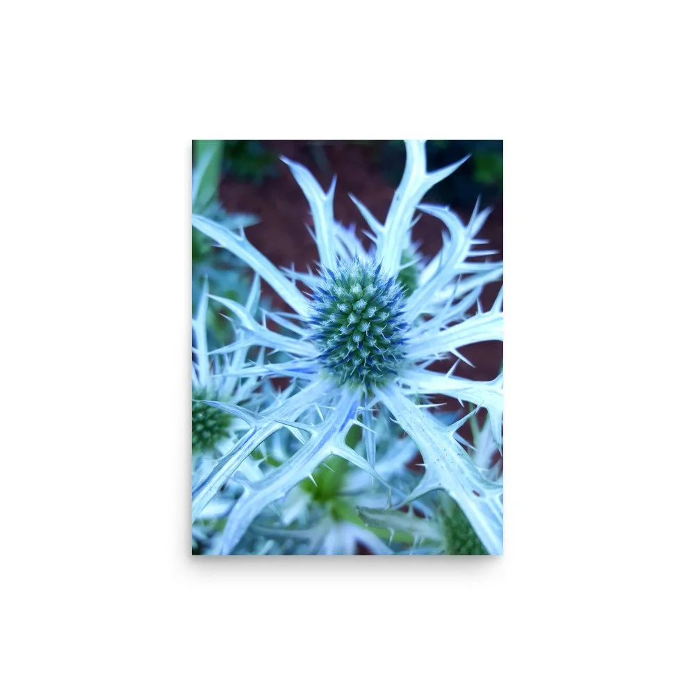 premium-luster-photo-paper-poster-(in)-12x16-front-6a0249046cf0a.jpg