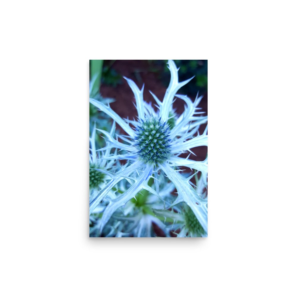 premium-luster-photo-paper-poster-(in)-12x18-front-6a0249046d307.jpg