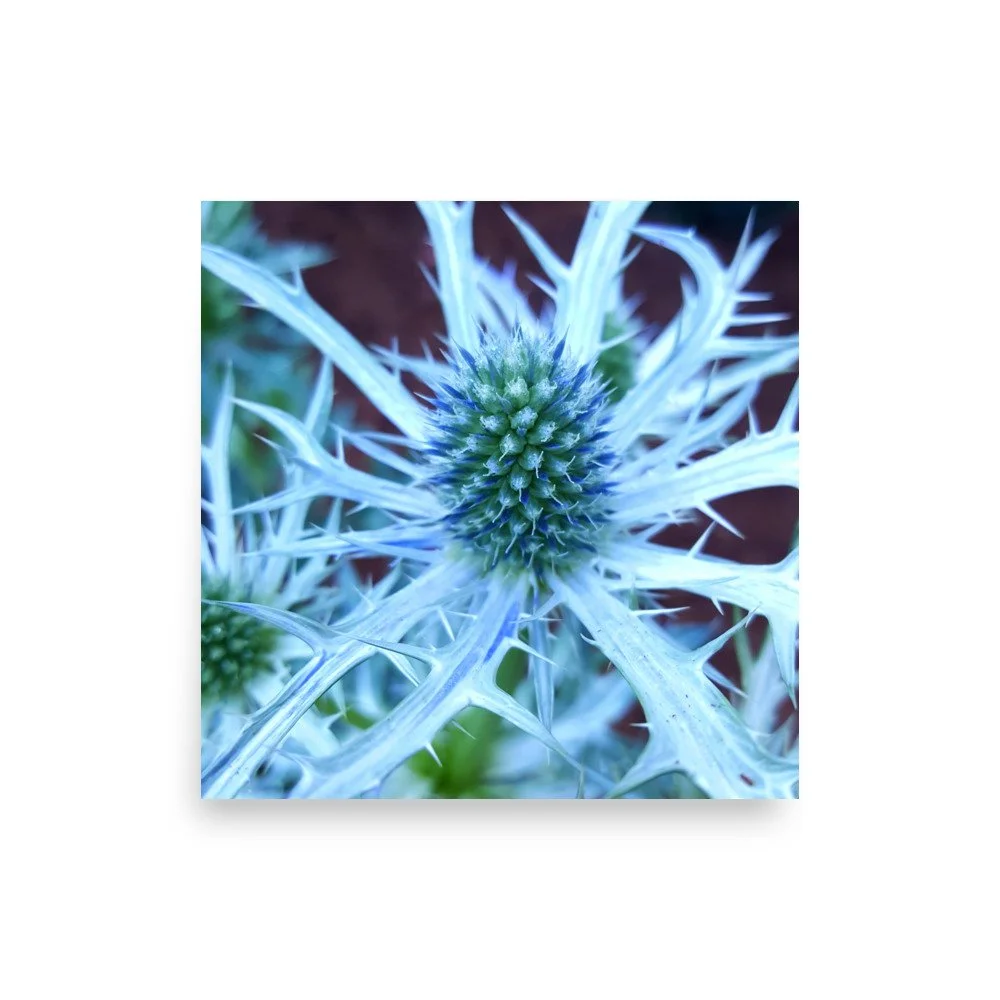 premium-luster-photo-paper-poster-(in)-18x18-front-6a0249046e35d.jpg