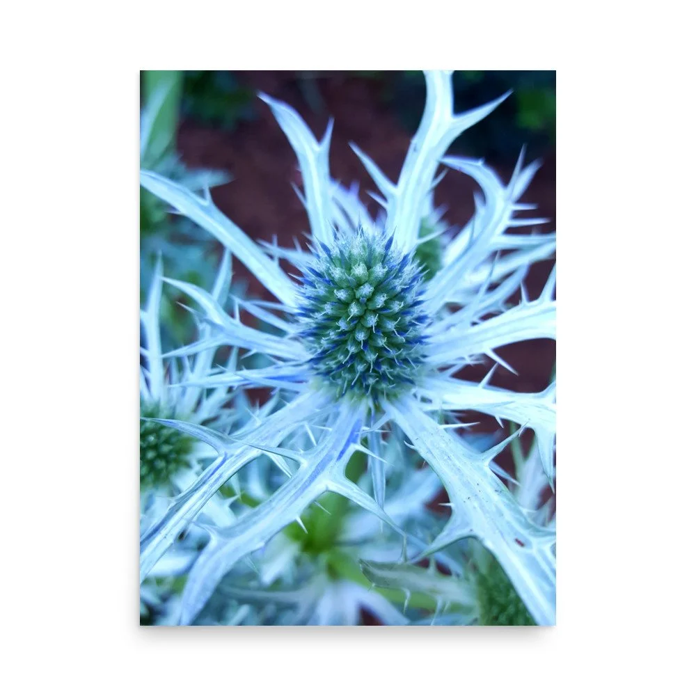 premium-luster-photo-paper-poster-(in)-18x24-front-6a0249046e778.jpg