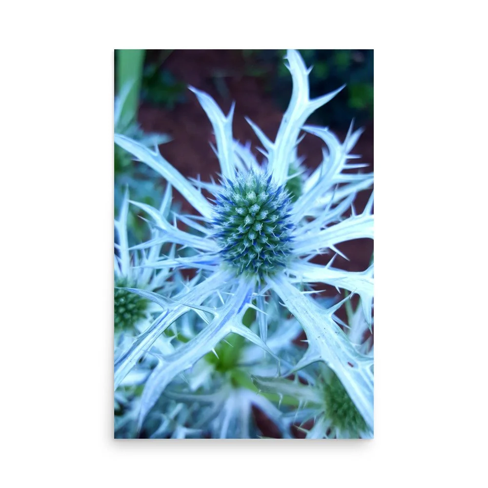 premium-luster-photo-paper-poster-(in)-24x36-front-6a0249046eb8c.jpg