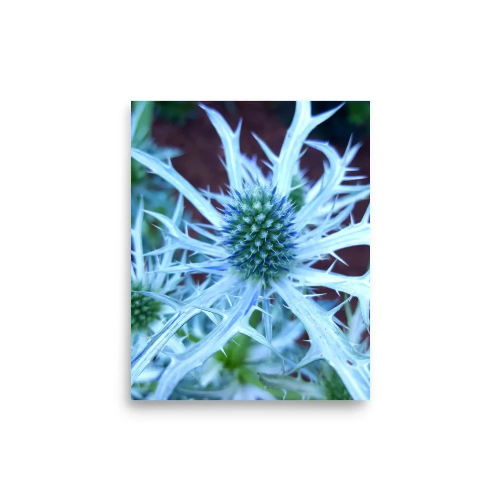 premium-luster-photo-paper-poster-(in)-8x10-front-6a0249046bd73.jpg