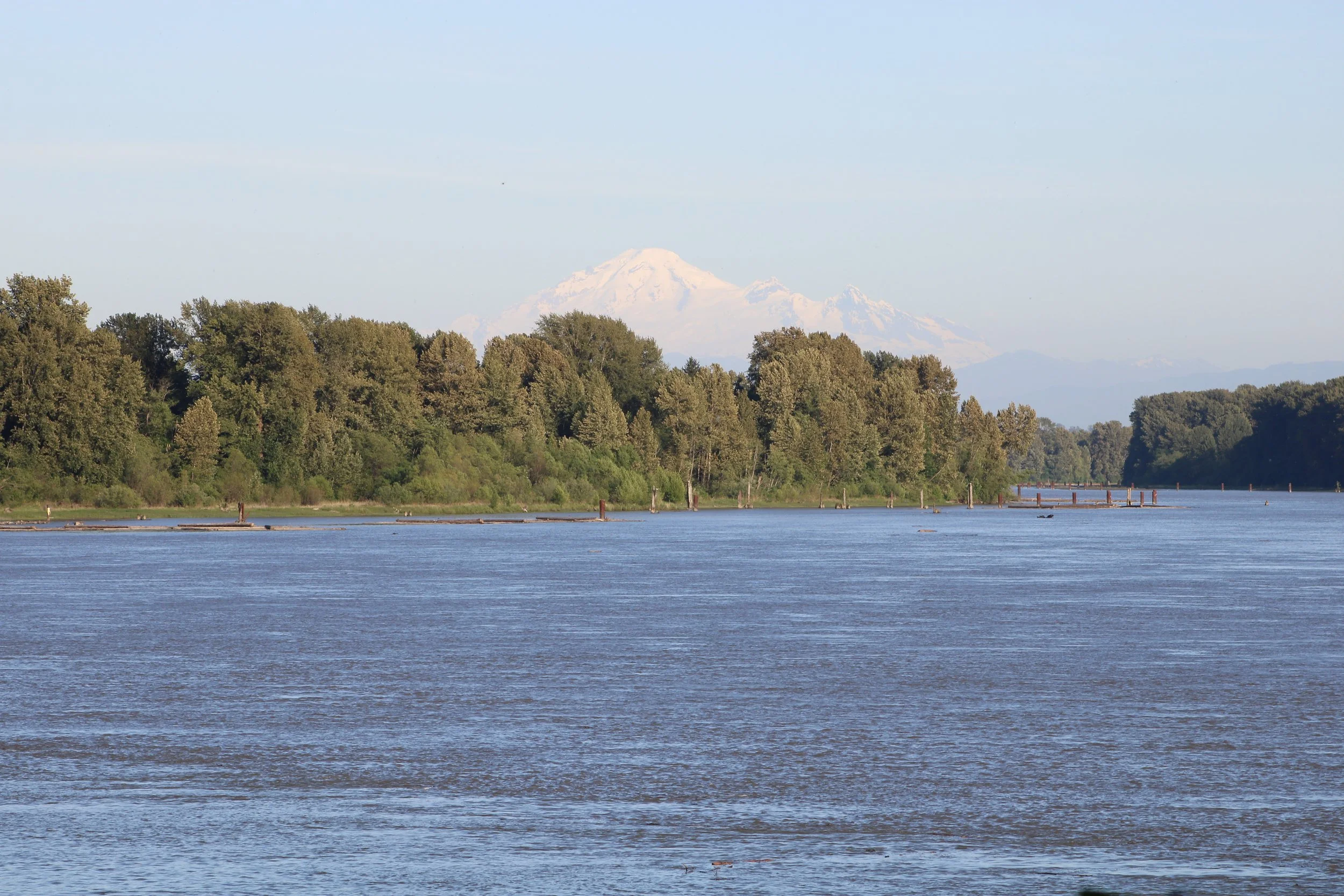 Pitt River leading to Mount Baker