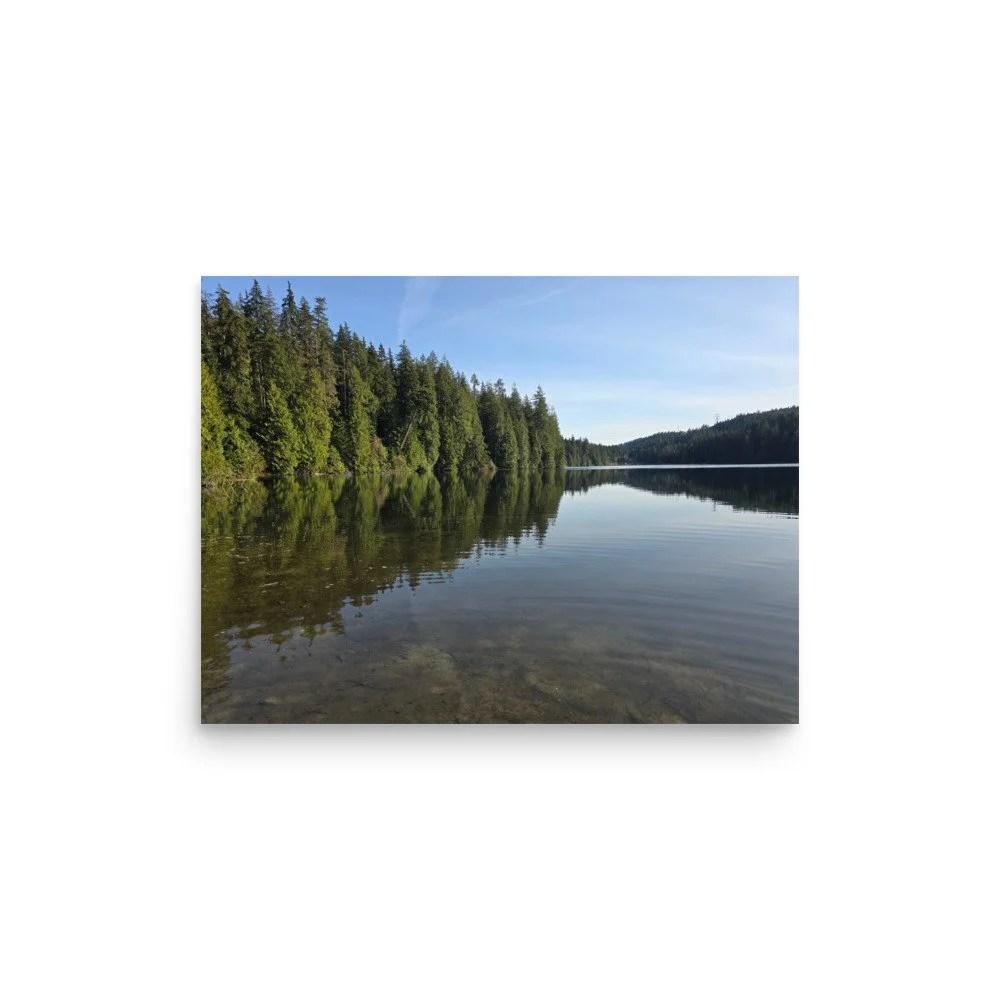 premium-luster-photo-paper-poster-(in)-12x16-front-6a073f9253ba6.jpg