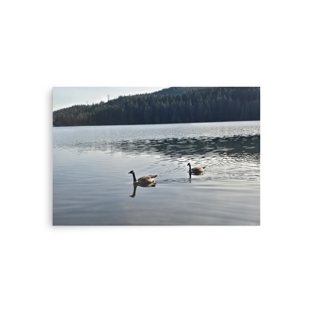 premium-luster-photo-paper-poster-(in)-20x30-front-6a07418042856.jpg