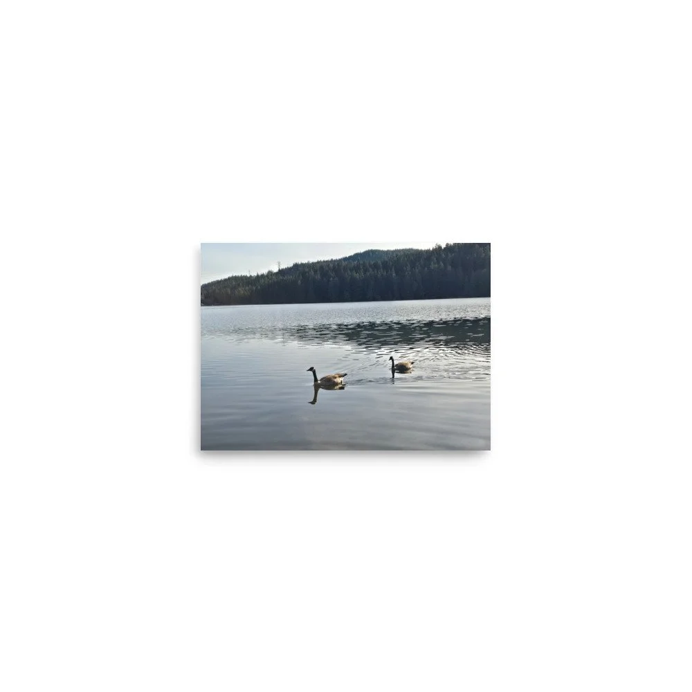 premium-luster-photo-paper-poster-(in)-5x7-front-6a07418042204.jpg
