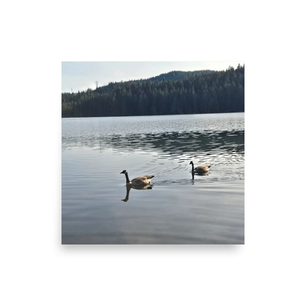 premium-luster-photo-paper-poster-(in)-10x10-front-6a0741803e15a.jpg