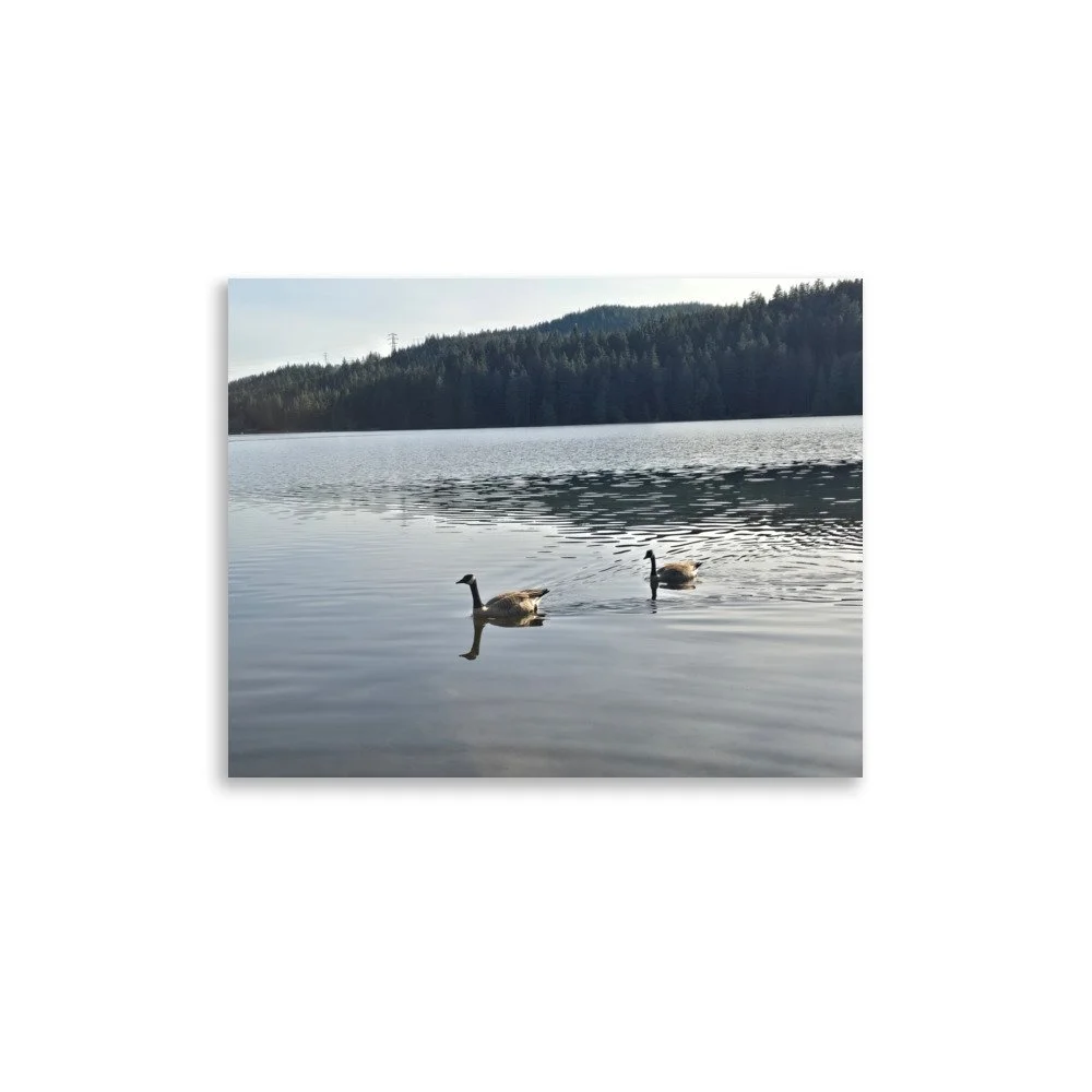 premium-luster-photo-paper-poster-(in)-11x14-front-6a07418041cf8.jpg