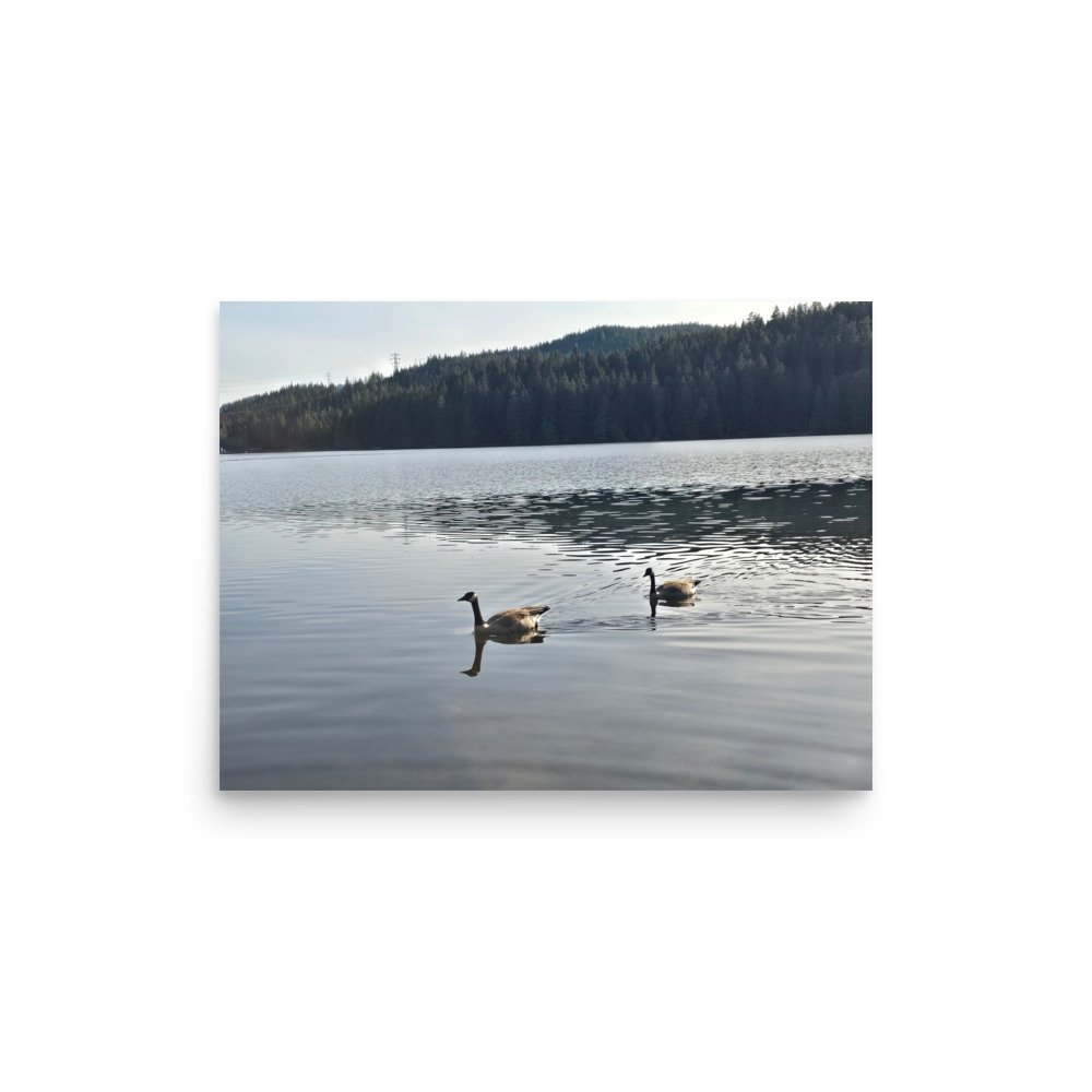 premium-luster-photo-paper-poster-(in)-12x16-front-6a0741803edc3.jpg