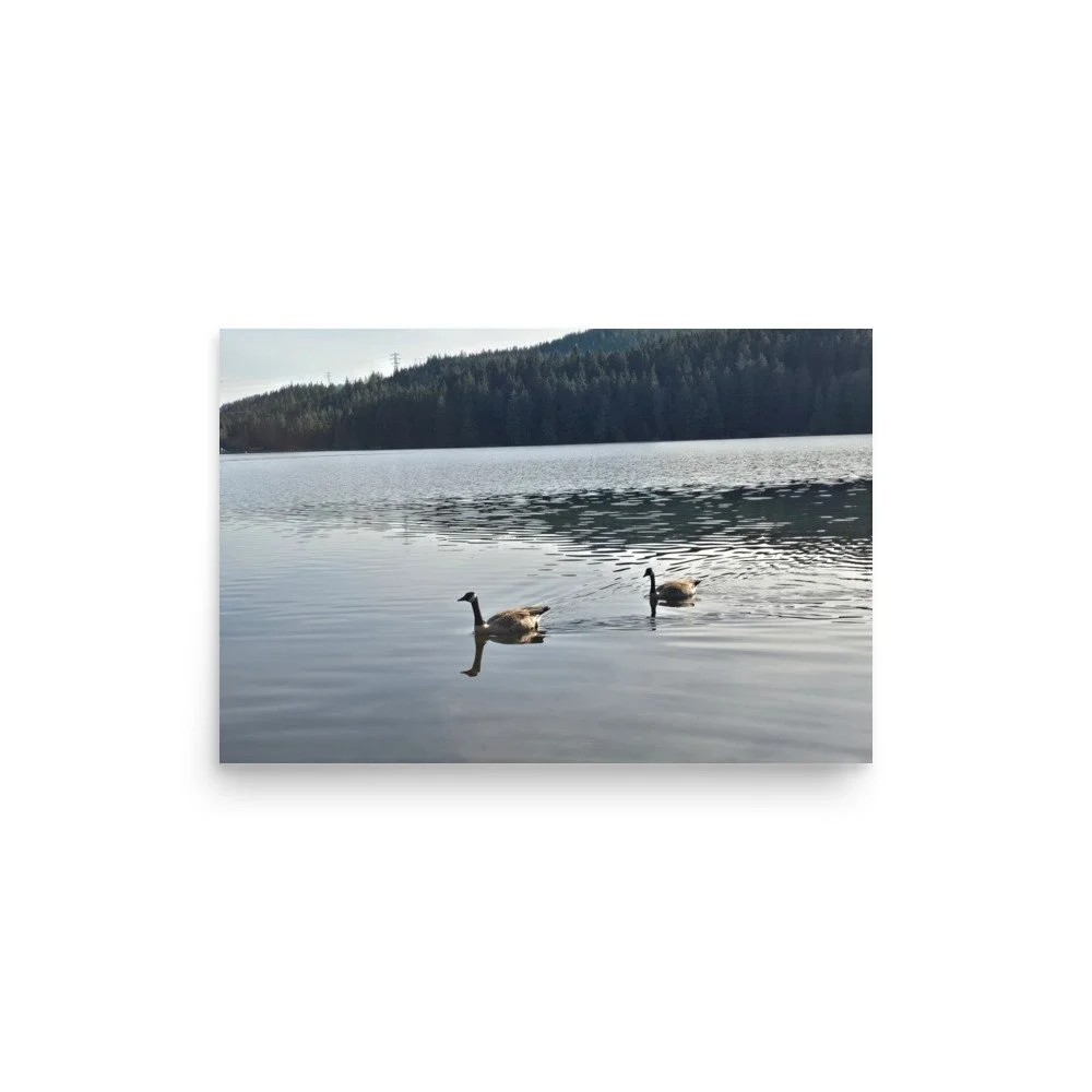 premium-luster-photo-paper-poster-(in)-12x18-front-6a0741803f37b.jpg