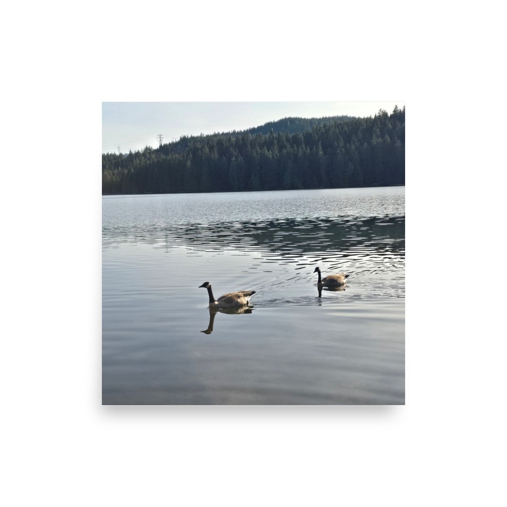 premium-luster-photo-paper-poster-(in)-16x16-front-6a0741803ff97.jpg