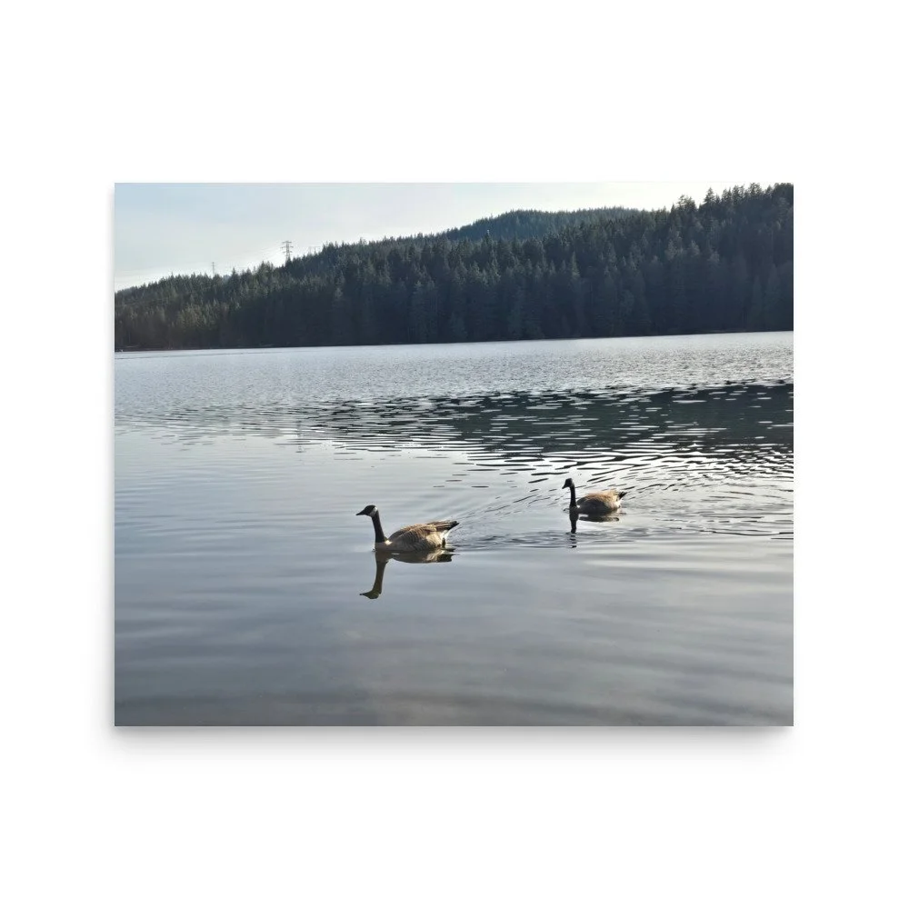 premium-luster-photo-paper-poster-(in)-16x20-front-6a0741804052d.jpg