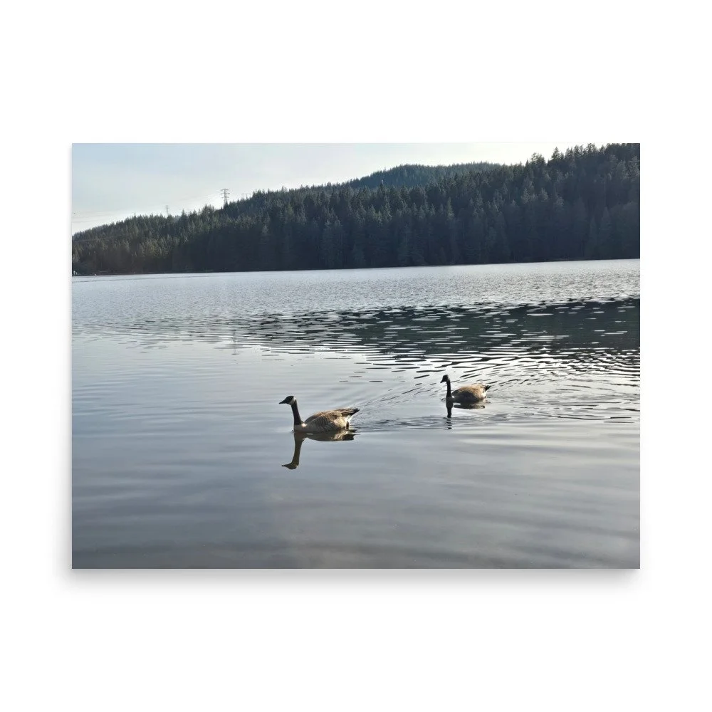 premium-luster-photo-paper-poster-(in)-18x24-front-6a07418041089.jpg