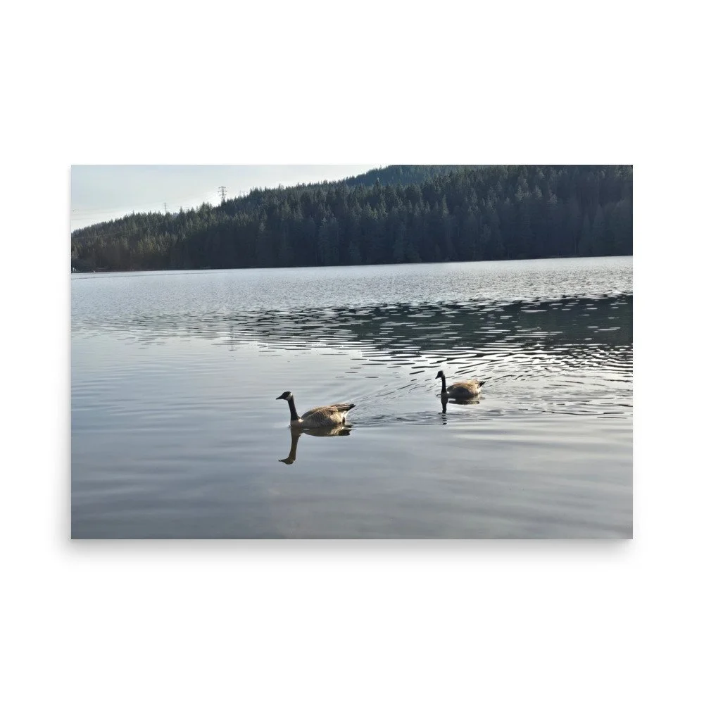 premium-luster-photo-paper-poster-(in)-24x36-front-6a074180416d5.jpg