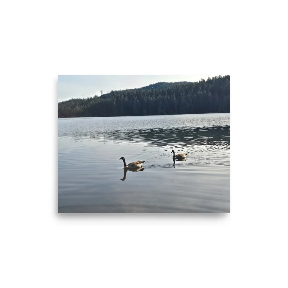 premium-luster-photo-paper-poster-(in)-8x10-front-6a0741803d4c3.jpg