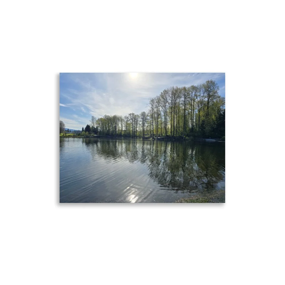 premium-luster-photo-paper-poster-(in)-11x14-front-6a07428224d44.jpg