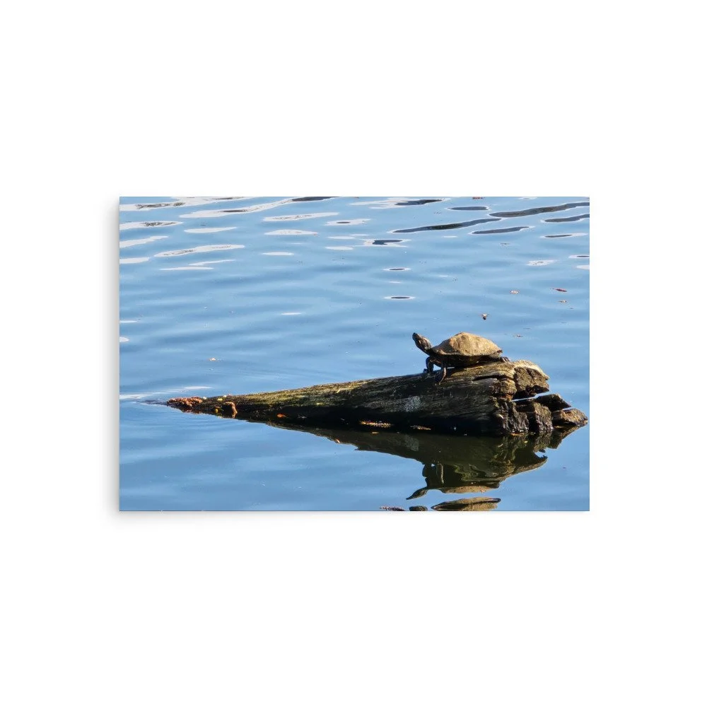 premium-luster-photo-paper-poster-(in)-20x30-front-6a074380129c1.jpg