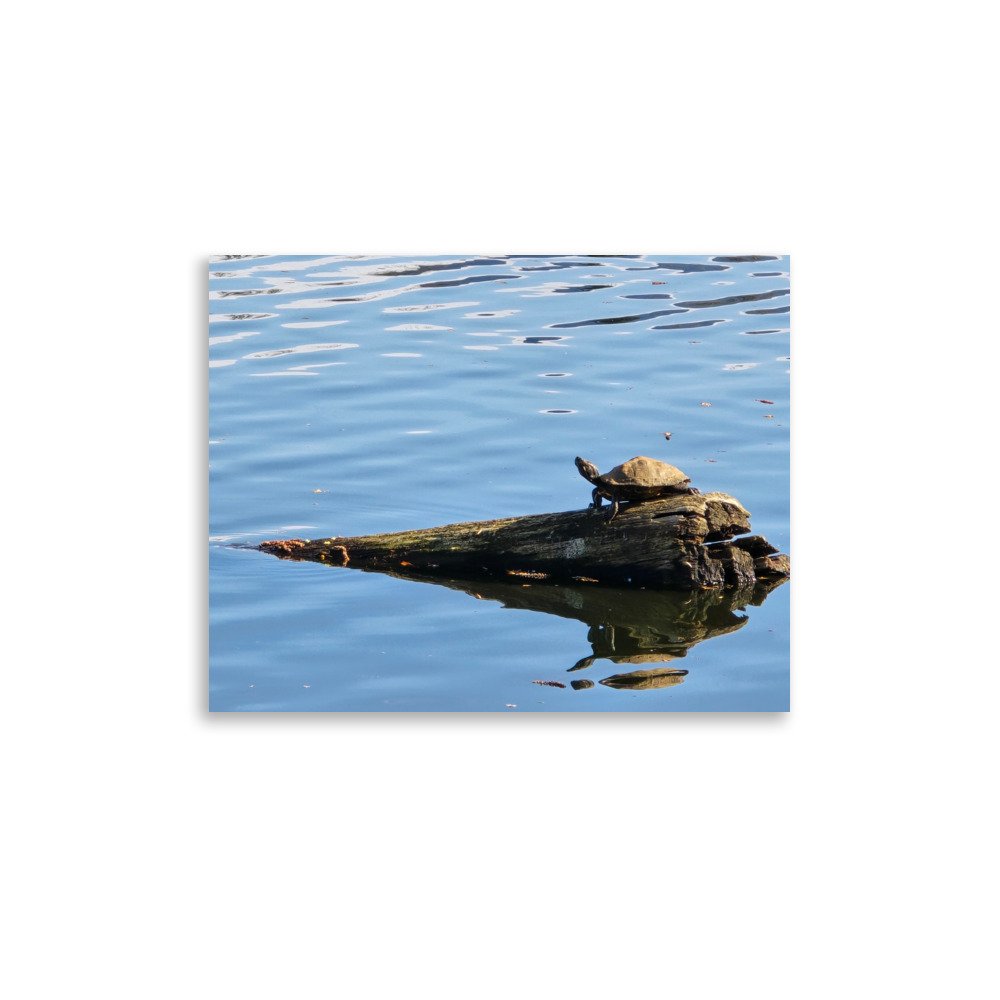 premium-luster-photo-paper-poster-(in)-11x14-front-6a07438010d33.jpg