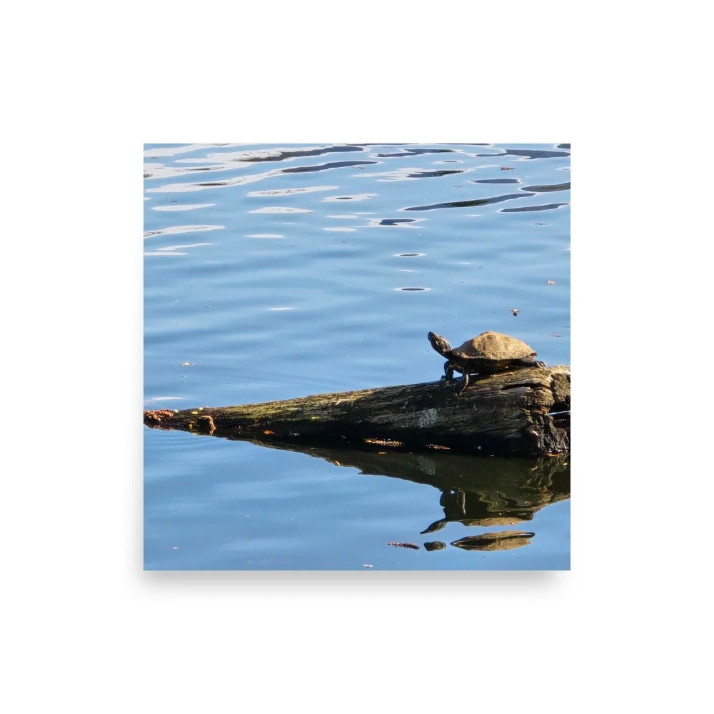 premium-luster-photo-paper-poster-(in)-12x12-front-6a074380091a1.jpg