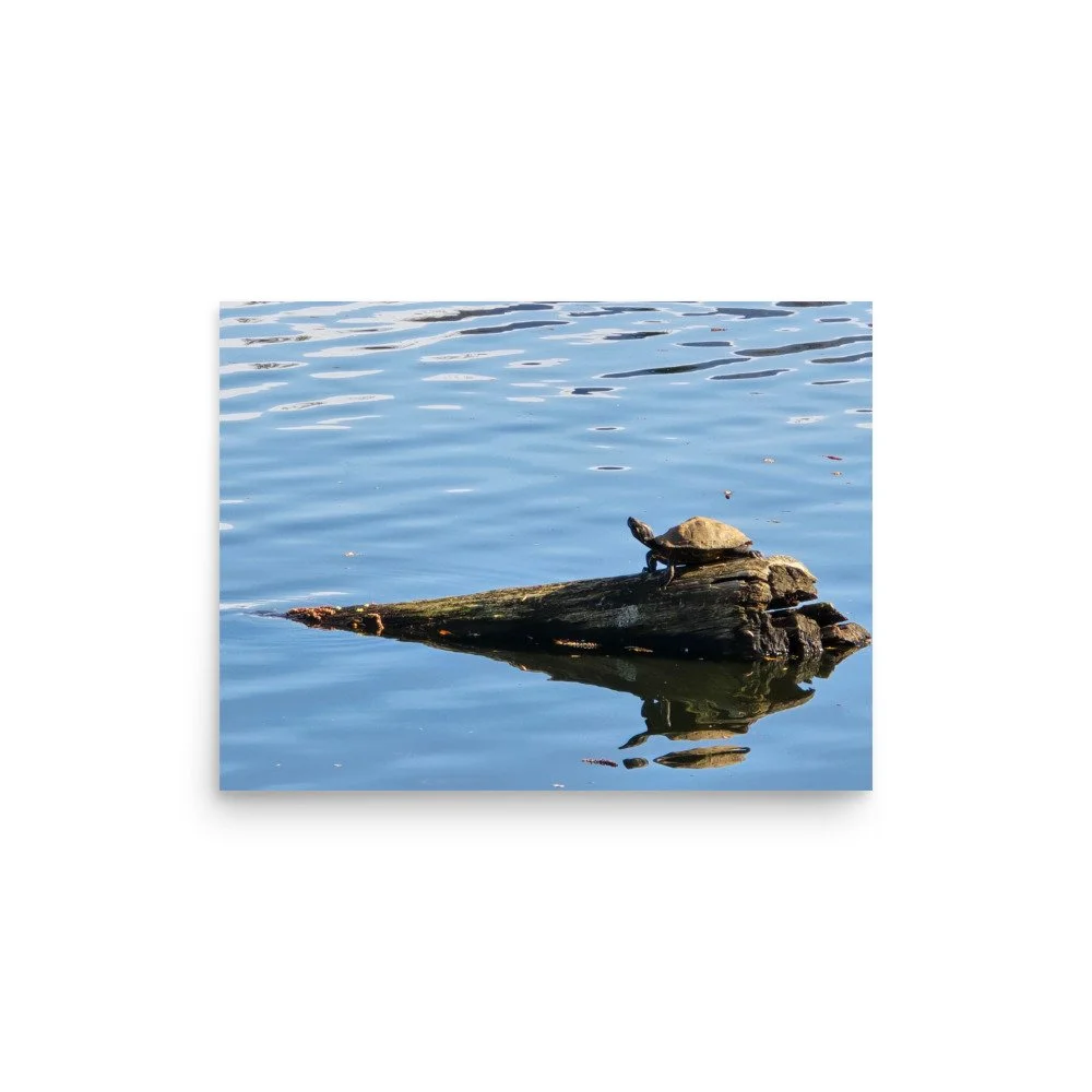 premium-luster-photo-paper-poster-(in)-12x16-front-6a07438009f01.jpg
