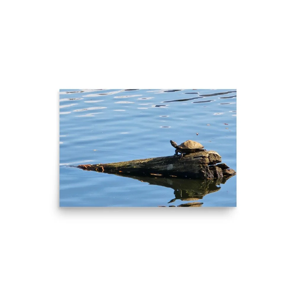 premium-luster-photo-paper-poster-(in)-12x18-front-6a0743800acd3.jpg