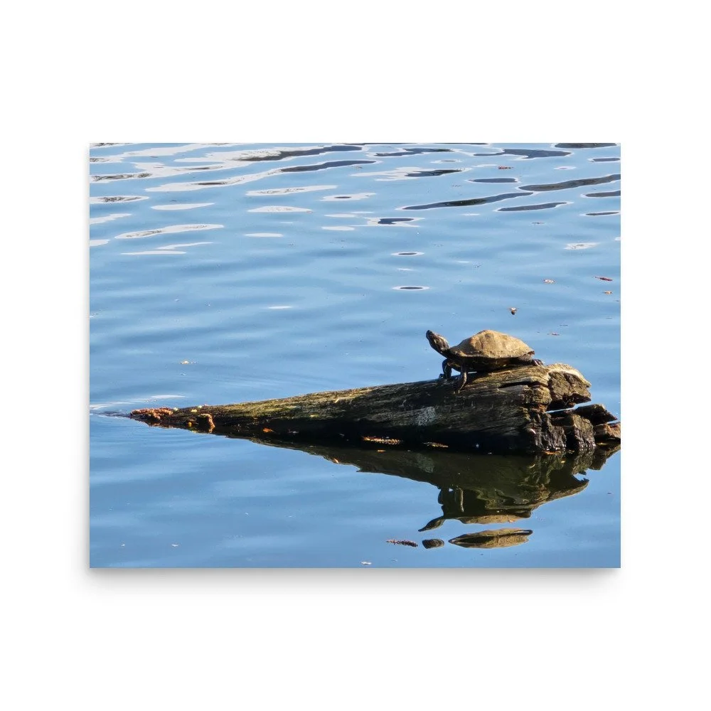 premium-luster-photo-paper-poster-(in)-16x20-front-6a0743800d5ef.jpg