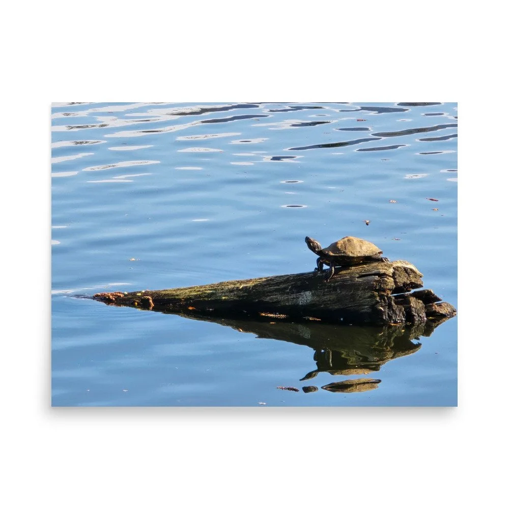 premium-luster-photo-paper-poster-(in)-18x24-front-6a0743800f0c0.jpg