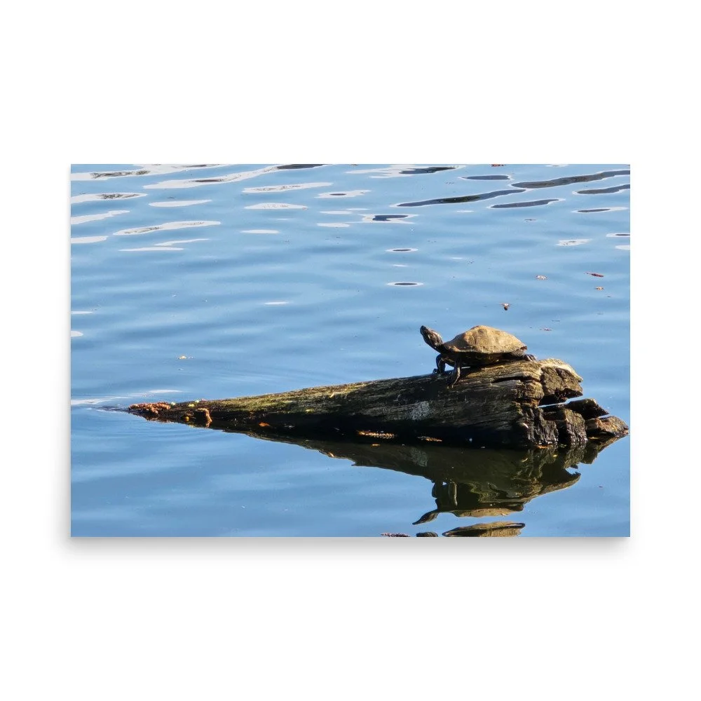premium-luster-photo-paper-poster-(in)-24x36-front-6a0743800fe9b.jpg